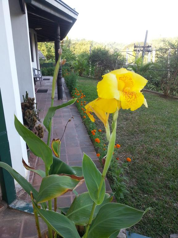 Kandy Holiday Home Ngoại thất bức ảnh